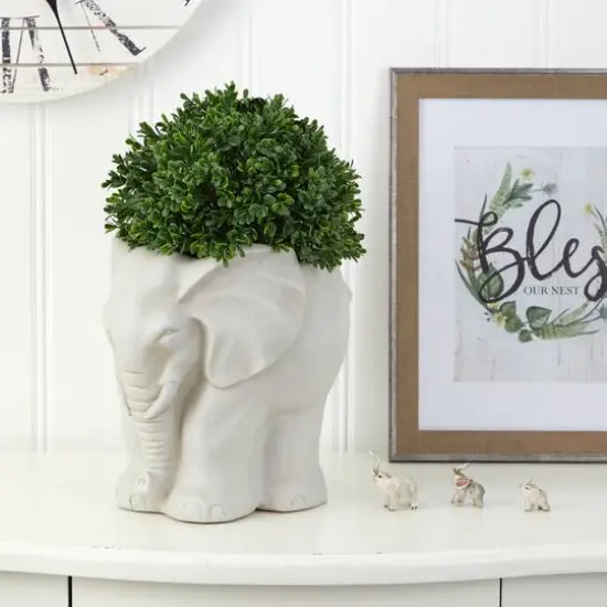 16" Boxwood Topiary Plant in Elephant Shaped Planter {7}