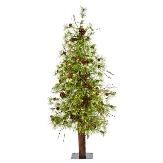4ft. Pre-Lit Wyoming Alpine & Pinecone Artificial Christmas Tree, Clear LED Lights {1}