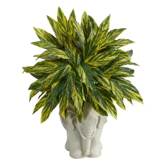 25" Spiderwort Plant in White Elephant Shaped Planter {1}