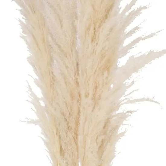 Hello Honey&reg; 5.5ft. Natural Dried Pampas Grass Bunch {5}