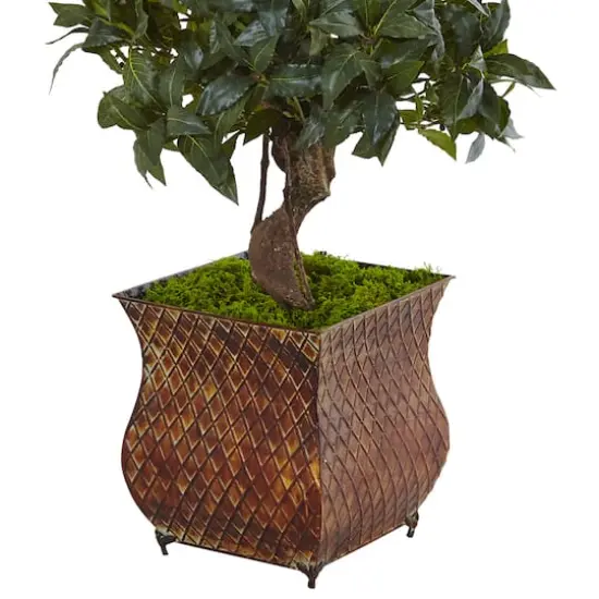 4.5ft. Sweet Bay Magnolia Double Topiary Tree in Metal Planter {4}