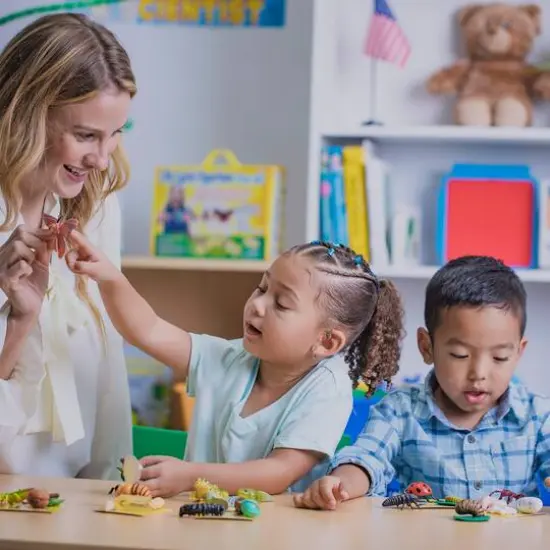 Insect Lore Life Cycle Figurine 24 Piece Set {6}