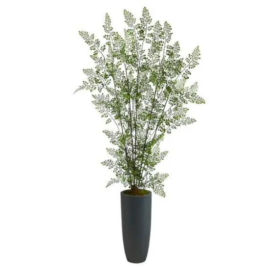 5ft. Ruffle Fern Tree in Gray Planter {1}