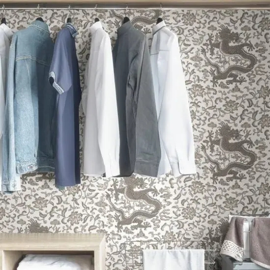 Scalamandre Gray Chien Dragon Peel & Stick Wallpaper {6}