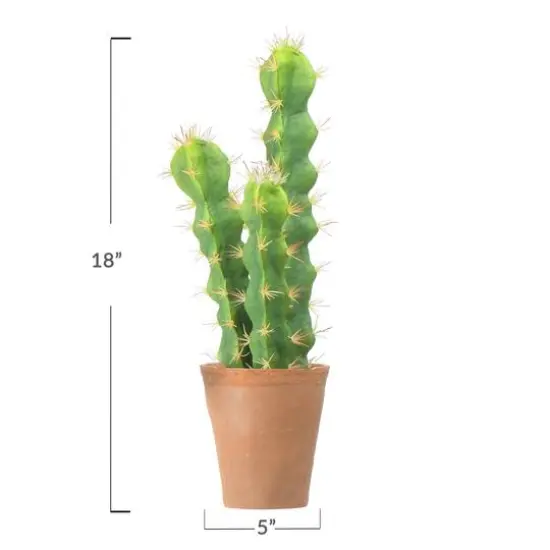 Hello Honey&reg; 18" Cereus Cactus in Terra Cotta Colored Pot {9}