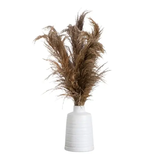 2.5ft. Dried Natural Pampas Arrangement in Ceramic Vase {1}