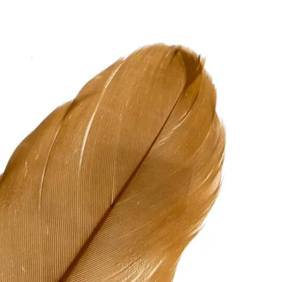 John Bead 5"-7" Goose Feathers Brown {5}