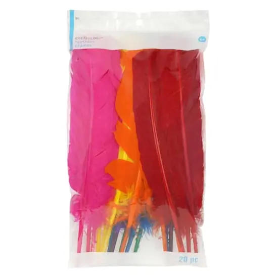 Quill Feather Mix by Creatology&trade; {4}