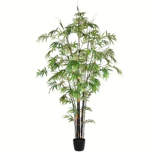 7ft. Potted Black Japanese Bamboo Tree {1}