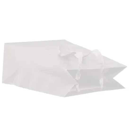 JAM Paper Medium White Matte Heavy Duty Kraft Gift Bags, 10ct. {5}