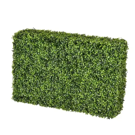 2ft. Boxwood Hedge {1}