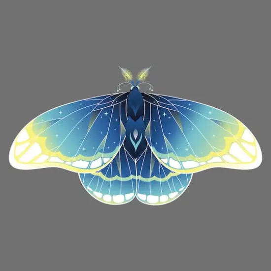 4" x 4" Moths Canvas Painting Kit by Craft Smart&reg; {5}