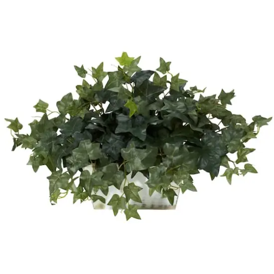 14" Ivy in White Planter {1}
