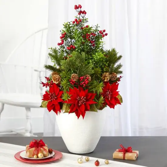 2.5ft. Poinsettia, Boxwood & Succulent Arrangement in White Vase {4}