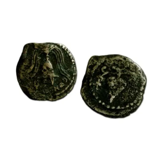 The King Herod Ancient Coin Collection {4}