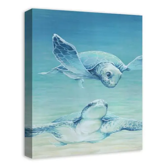 Sea Turtles Swimming 16" x 20" Canvas Wall Art {3}