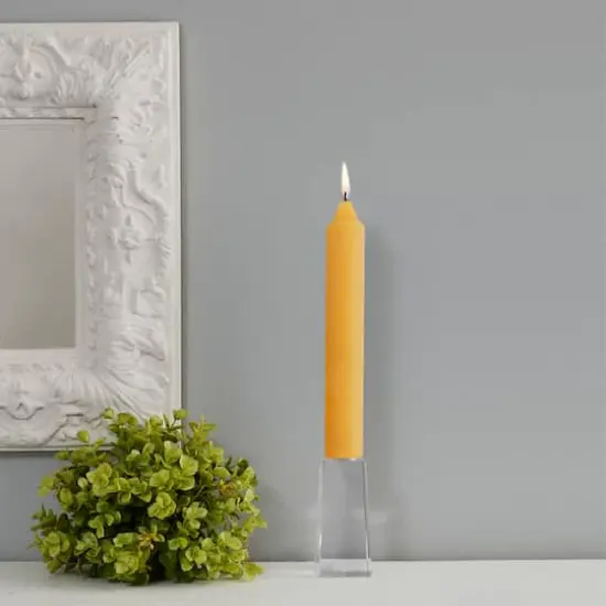 Root Candles 9" Unscented Timberline&trade; Collenette Taper Candles, 4ct. Butterscotch {4}