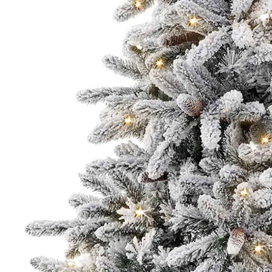 4.5ft. Pre-Lit Bennington Fir Artificial Christmas Tree, Clear Lights {4}
