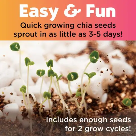 Creativity for Kids&reg; Plant & Grow Unicorn Forest Kit {5}