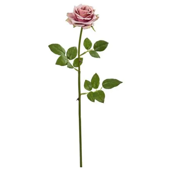 Rose Flower Stem, 12ct. Mauve {1}