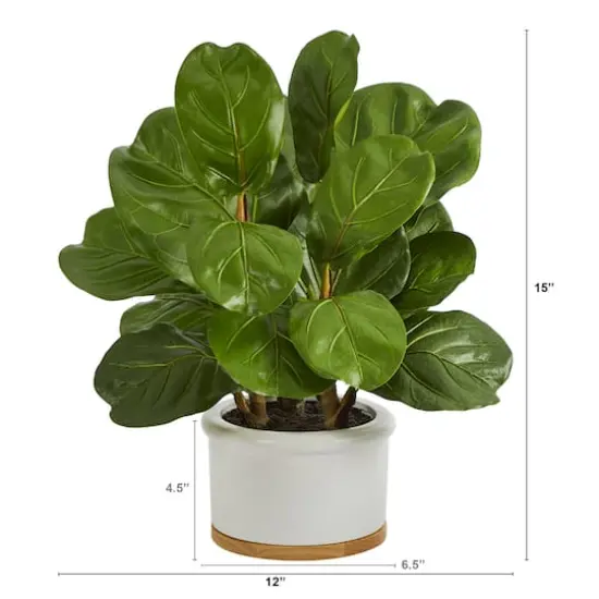 15" Fiddle Leaf Tree in White Planter {3}