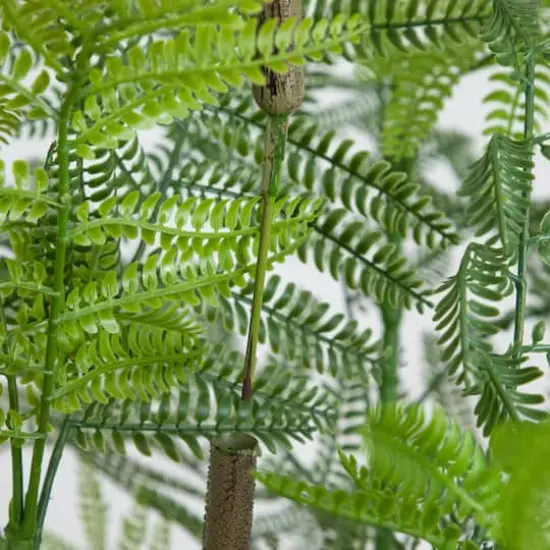 6ft. Artificial Minimalist Jacaranda Tree in White Decorative Planter {5}