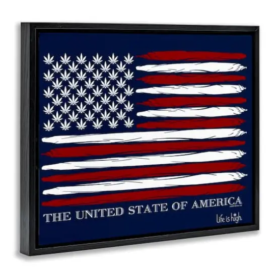 Stupell Industries Herb America Flag Floater Framed Art Black {4}