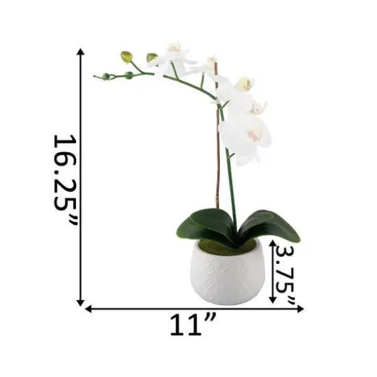 Flora Bunda&reg; 16" Real-Touch Orchid in Ceramic Pot {3}