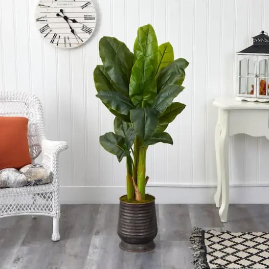 4ft. Triple Stalk Banana Tree in Ribbed Metal Planter {4}