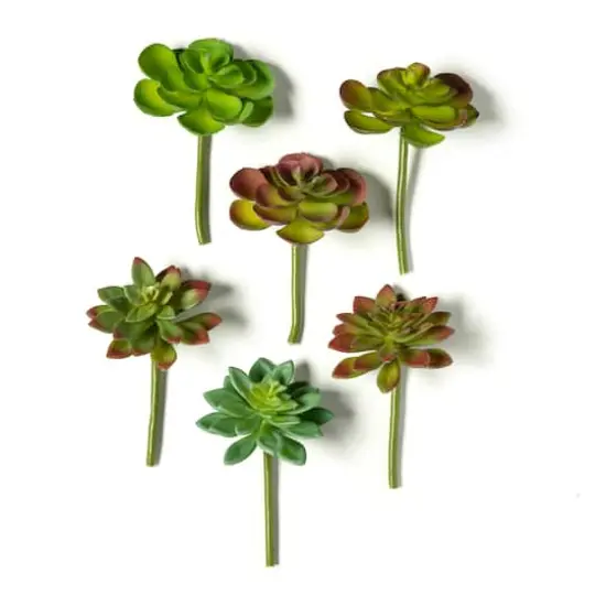 Assorted 5" Succulent Pick by Ashland&reg;, 1pc. {1}