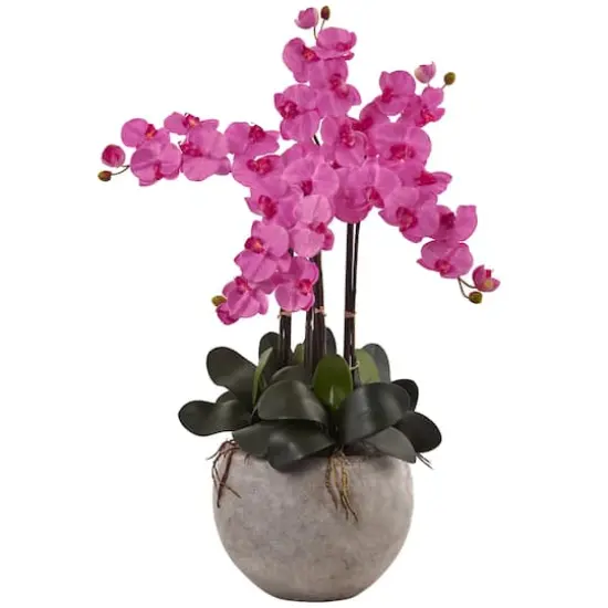 3ft. Moth Orchid Arrangement in Sand Colored Bowl Dark Pink {1}