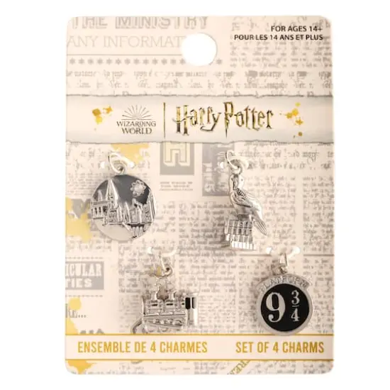 Harry Potter Silver Hogwarts Charm Set {4}