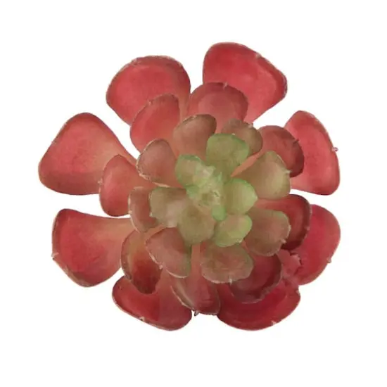 Flora Bunda&reg; Red Small Echeveria Succulent Pick, 12ct. {1}