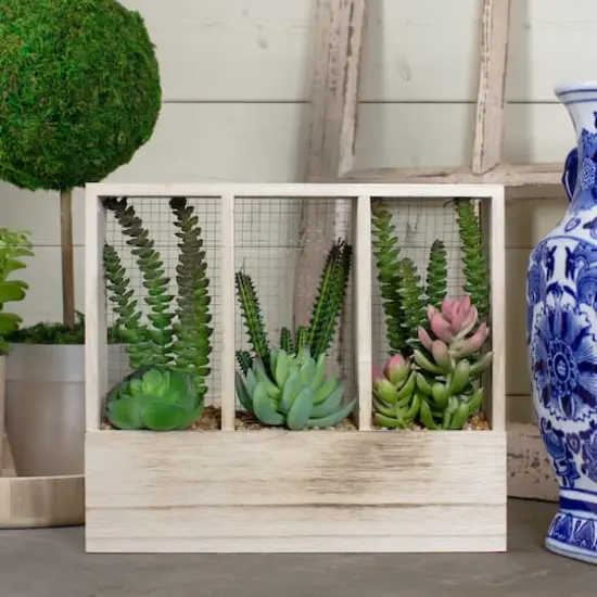 11" Mixed Succulent Arrangement in Wooden Planter Box {3}