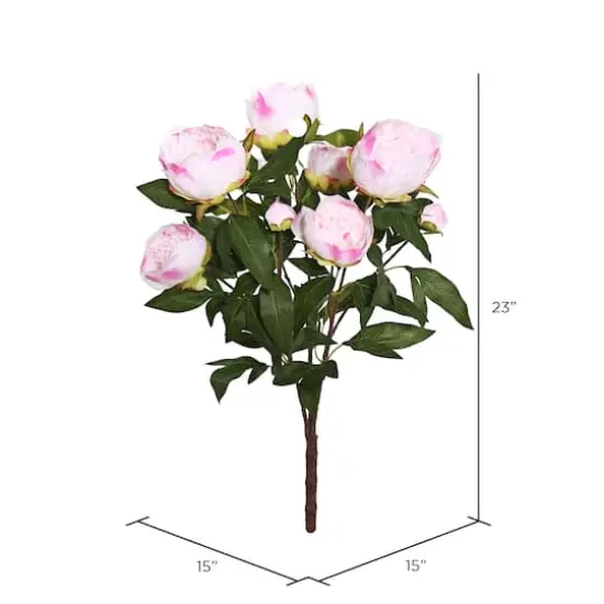 Cream & Pink Peony Bush {5}