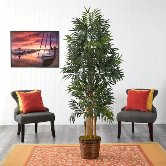 6ft. Phoenix Palm Tree in Wicker Planter {4}