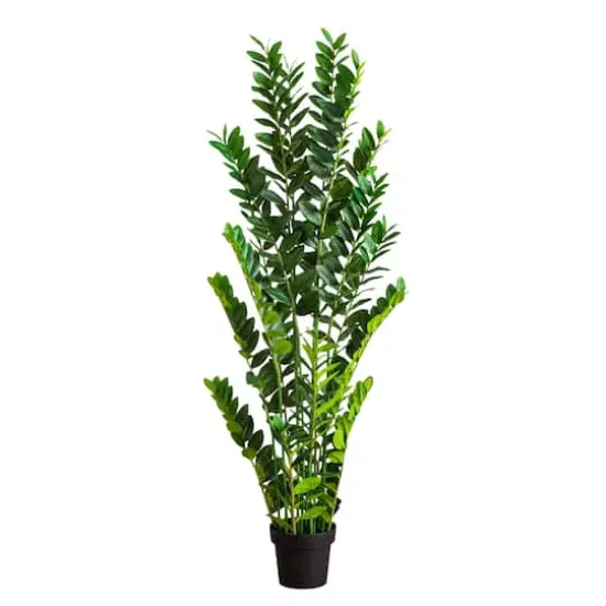 5ft. Artificial Zamioculcas Plant {1}