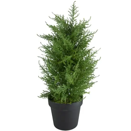 2ft. Unlit Artificial Cedar Pine Petite Arborvitae Tree in Round Pot {1}