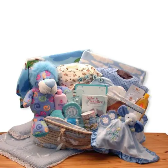 Precious Petals Blue Deluxe Moses Carrier {1}