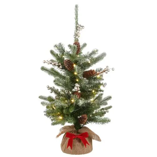 2ft. Pre-Lit Snowy Morgan Spruce Artificial Christmas Tree, Warm White LED Lights {1}