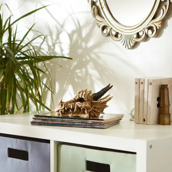 12" Snarling Dragon Skull Treasure Trove Box {6}