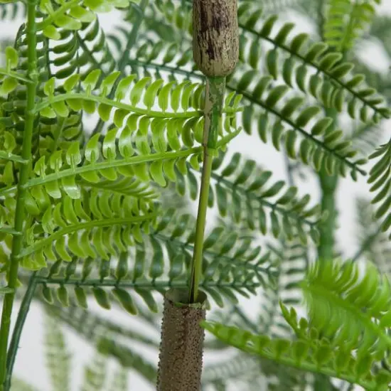 6ft. Artificial Minimalist Jacaranda Tree in White Decorative Planter {6}