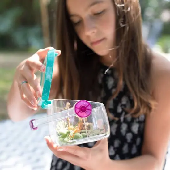 Educational Insights Nancy B's Science Club Bug Discovery Lab {4}