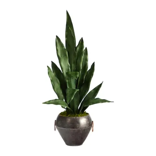 2.5ft. Snake Plant in Decorative Metal Bowl {1}