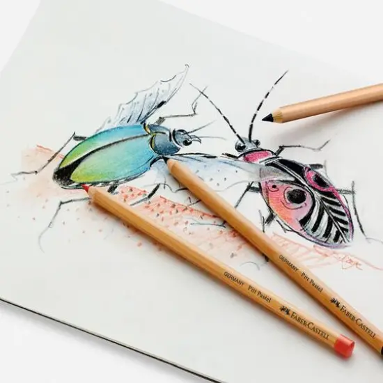 Faber-Castell Pitt 36 Color Pastel Pencil Set {5}