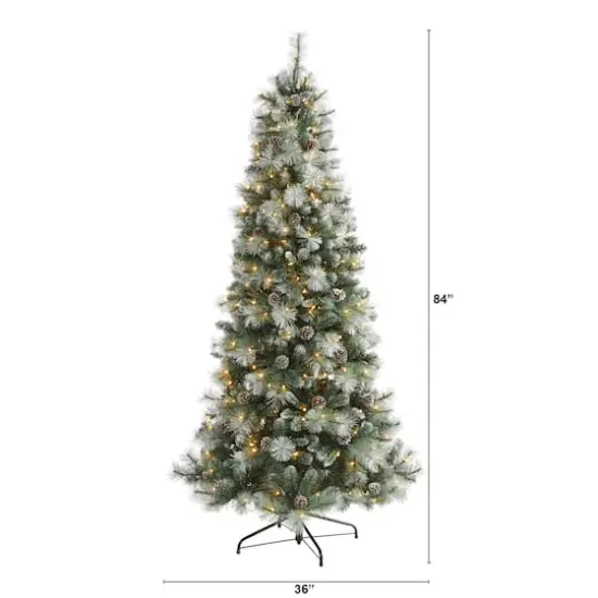 7ft. Pre-Lit Frosted Tip British Columbia Mountain Pine & Pinecones Artificial Christmas Tree with Clear Lights {3}
