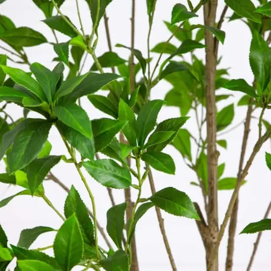 8ft. Artificial Minimalist Japanese Pieris Tree {4}