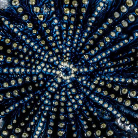 Hello Honey&reg; 6.25" Multicolor Embossed Dots Stoneware Dish Set {9}