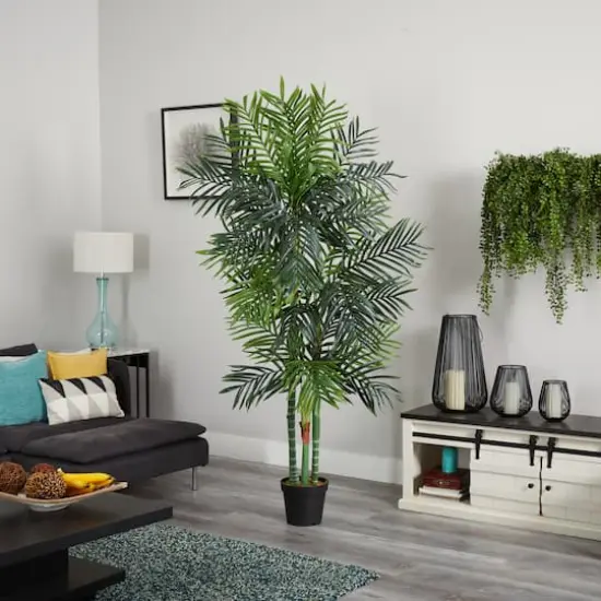7.5ft. Potted Areca Palm Tree {3}
