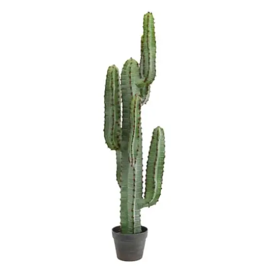 4ft. Potted Green Finger Cactus {1}